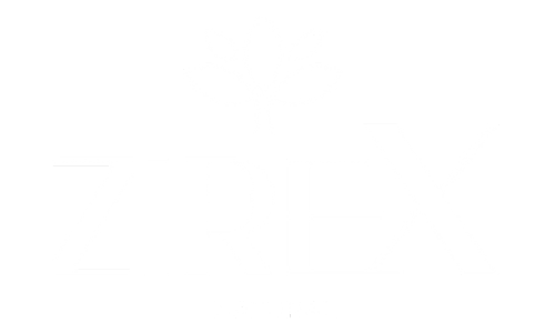 Zirex Logo